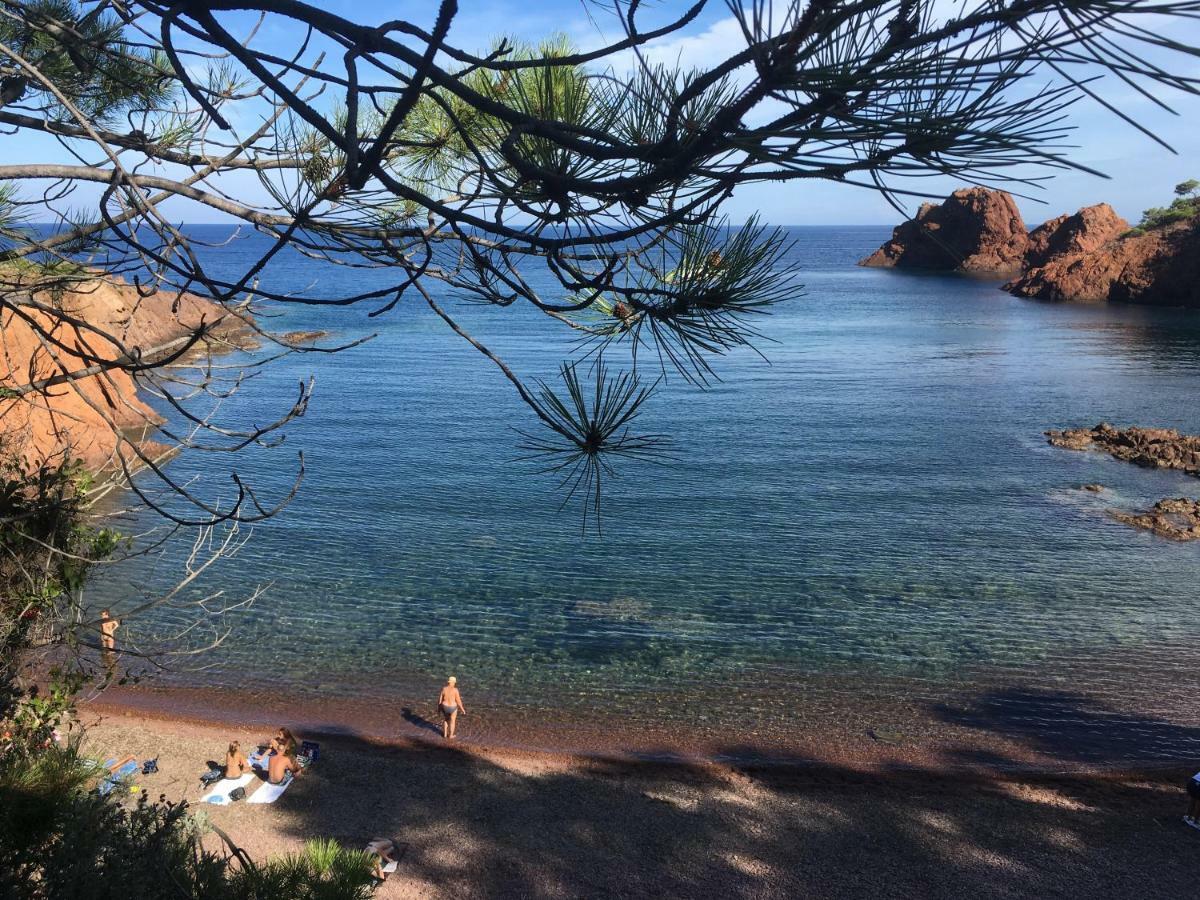 "Les Alizes" Cote Jardin Proche Bord De Mer Saint-Raphaël المظهر الخارجي الصورة
