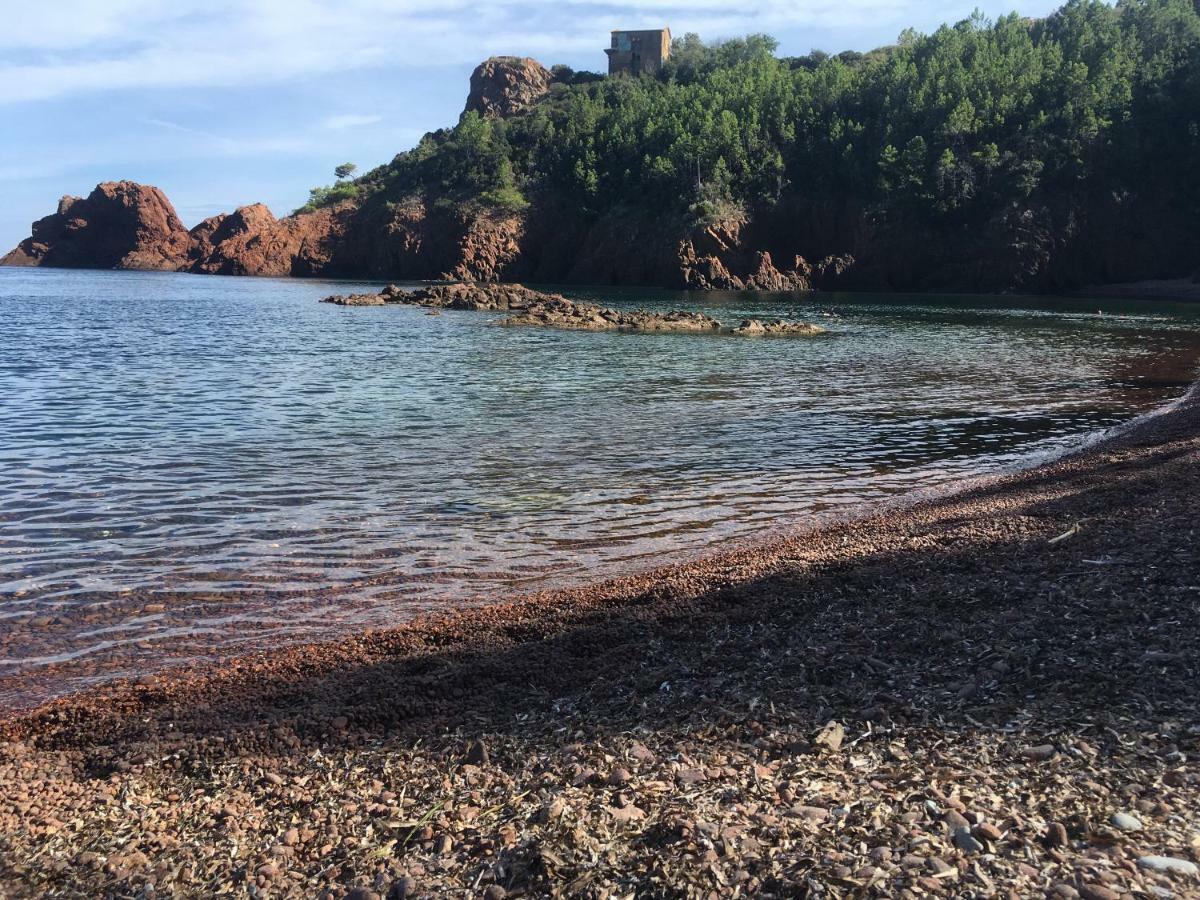 "Les Alizes" Cote Jardin Proche Bord De Mer Saint-Raphaël المظهر الخارجي الصورة