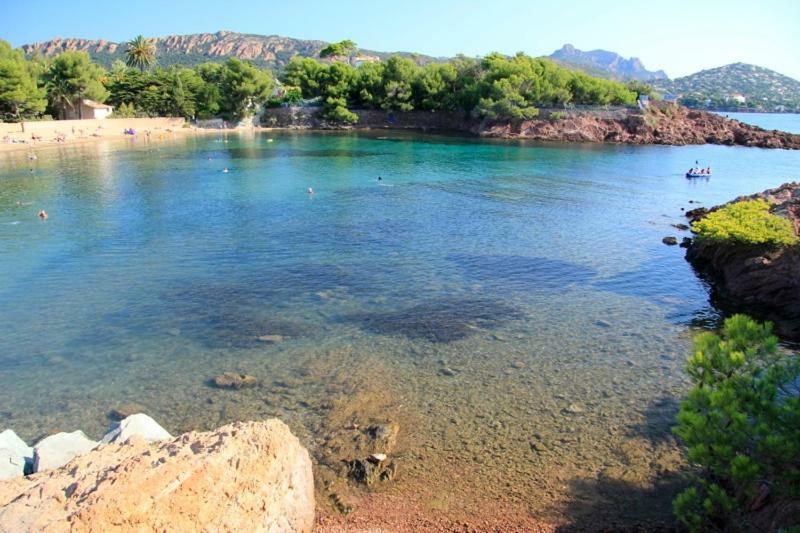 "Les Alizes" Cote Jardin Proche Bord De Mer Saint-Raphaël المظهر الخارجي الصورة